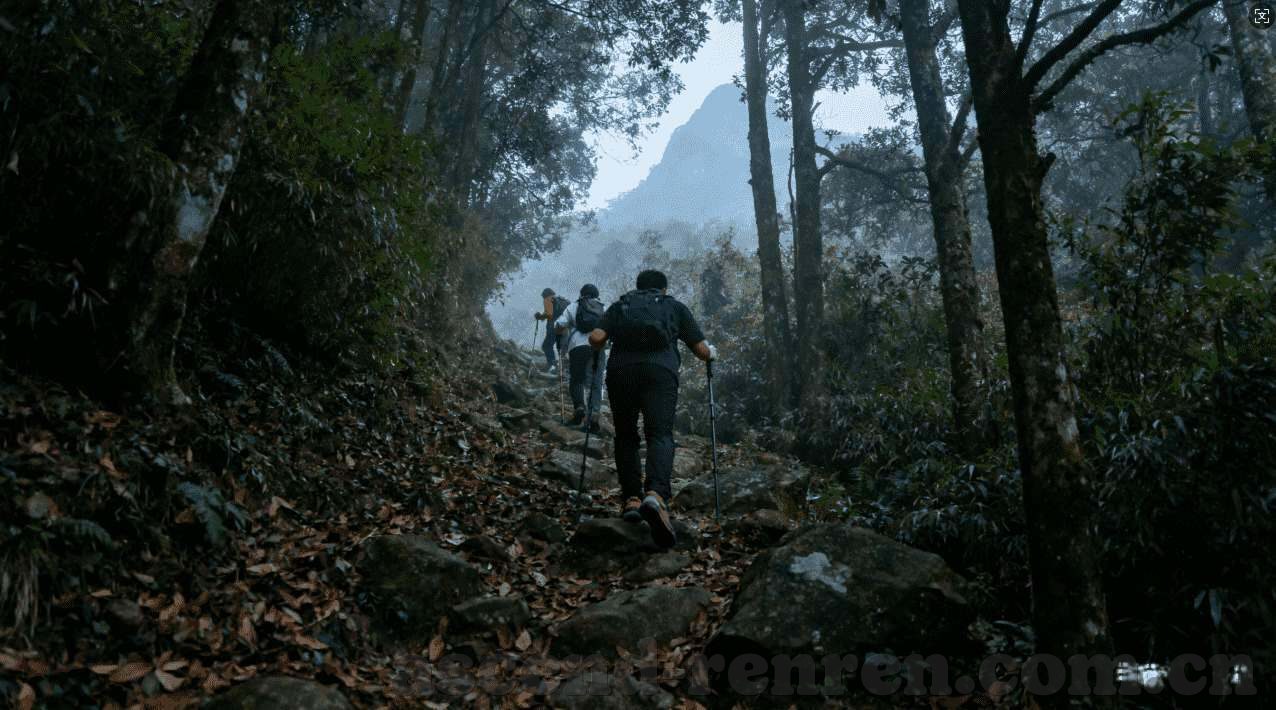 抢庄牛牛软件下载开元-抢庄牛牛软件下载开元，娱乐新体验与风险警示