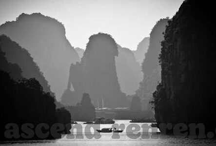 足球捷报网比分-足球捷报网比分,球迷的实时战报宝库与赛事分析利器